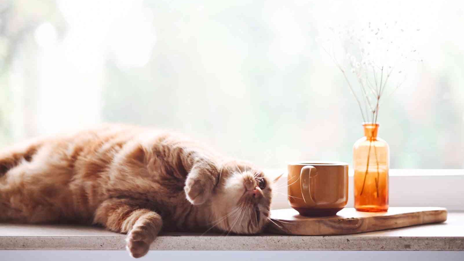 Expand your comfort zone